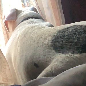 Meet your Posher, Layla